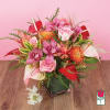 Approx. size: 10&quot; High x 10&quot; Wide
Size category: Medium Size, perfect for
