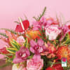 Approx. size: 10&quot; High x 10&quot; Wide
Size category: Medium Size, perfect for