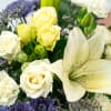 Our Bold Collection&#039;s Blue Birthday Wishes features fabulous blooms in white, blue
