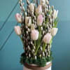 Beautiful arrangement with pussy willow and tulips  ( 20 pink tulips)