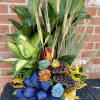 This lovely collection of mixed foliage plants makes a wonderful gift for