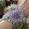 Beautiful Ocean series mums, a Tectorum air plant, blue green leaves and