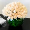 Luxurious design with 100 premium white roses in fishbowl vase. 