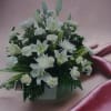 Make a heartfelt statement by sending an arrangement crafted from our freshest
