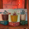 Candle + Grow Kit

After enjoying your candle, repurpose your pot to replant