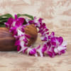 Nothings says Hawaii like the Orchid lei. Inexpensive and durable. Great for