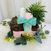 A charming garden gift featuring a lovely mix of 4&rdquo; succulents and