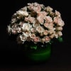 Blush Spray Roses in a leaf lined vase.