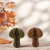 A set of accordion paper honeycomb d&eacute;cor pieces including a brown and