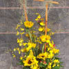 Yellow theme Gerbera daisies with Popcorn orchid in Ikabana Styled design.