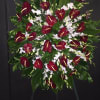 Red and white dramatic theme of huge red heart like antherium mixed