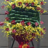 Ancient Hawaiian Kahili (assembled with feathers) for royalty replicated in two dimensional