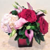 Order this cute fresh floral arrangement with roses and hydrangea. We deliver!