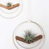 One of our newest favorites, these handmade airplant hangers come ready to