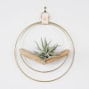 One of our newest favorites, these handmade airplant hangers come ready to