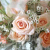 A peach Blush Ivory color palette create by Garden rose, peonies, seasonal