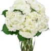 This exquisite bouquet is a timeless masterpiece crafted with a profusion of