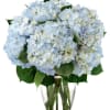 This exquisite bouquet is a timeless masterpiece crafted with a profusion of