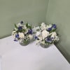 Soft white blooms and graceful blue delphiniums come together in a clear