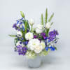 Touch of blue 