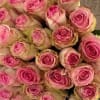 Elegant and expressive, Pink Devotion features over four dozen stunning bi-color pink