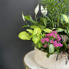 Garden of green and blooming plants in a basket or ceramic container.
