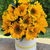 If you&rsquo;re looking for where to buy sunflowers, Luxury Flowers CLT can