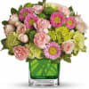 Includes green miniature hydrangea, light pink spray roses, green carnations, pink miniature