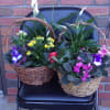 A beautiful Basket Garden filled with house plants and flowering plants. What