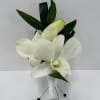 White 2 Bloom Dendrobium Orchid Boutonniere