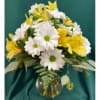 This arrangement will be a mix of daisies and carnation, perfect for