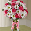 This arrangement will be a mix of daisies and carnation, perfect for