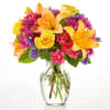 A vibrant and bold mix of beautiful florals, perfect for adding a