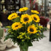 A beautiful vase of glorious sunflowers that is sure to do Vincent