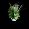 This easygoing mix of lush green plants brings a fresh, calming vibe