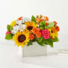 Feel the warmth radiating from these colorful stems, sure to put a