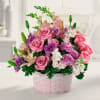 Pick a peck of fresh blooms to brighten any day! Pink snapdragons