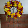 Very cheerful colors. Mix colors some flowers may vary.