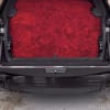 Wow your loved one with a car trunk full of premium roses!