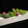 This long lasting and low maintenance succulent garden is perfect for a