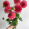 Please read the following instructions before placing your order.

Bulk flower orders placed