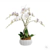 This long lasting Elegant Phalaenopsis Orchid Garden is a statement piece that