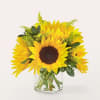 Let those warm rays brighten their day, with an arrangement of sunny