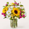 Bask in the light of these sunflowers, colorfully accented by daisies and