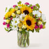 Bask in the light of these sunflowers, colorfully accented by daisies and