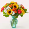 Feel the warmth radiating from these colorful stems, sure to put a
