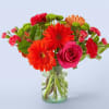 This bouquet always arrives in style. Topping our list is Best Dressed