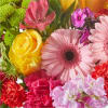 Make their birthday the best one yet with this colorful gift. Our