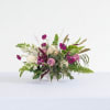 Adam is composed, grounded, and just a little wild.
With soft whites, moody