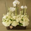 For those seeking a gift that speaks volumes, Sweet Elegance is the